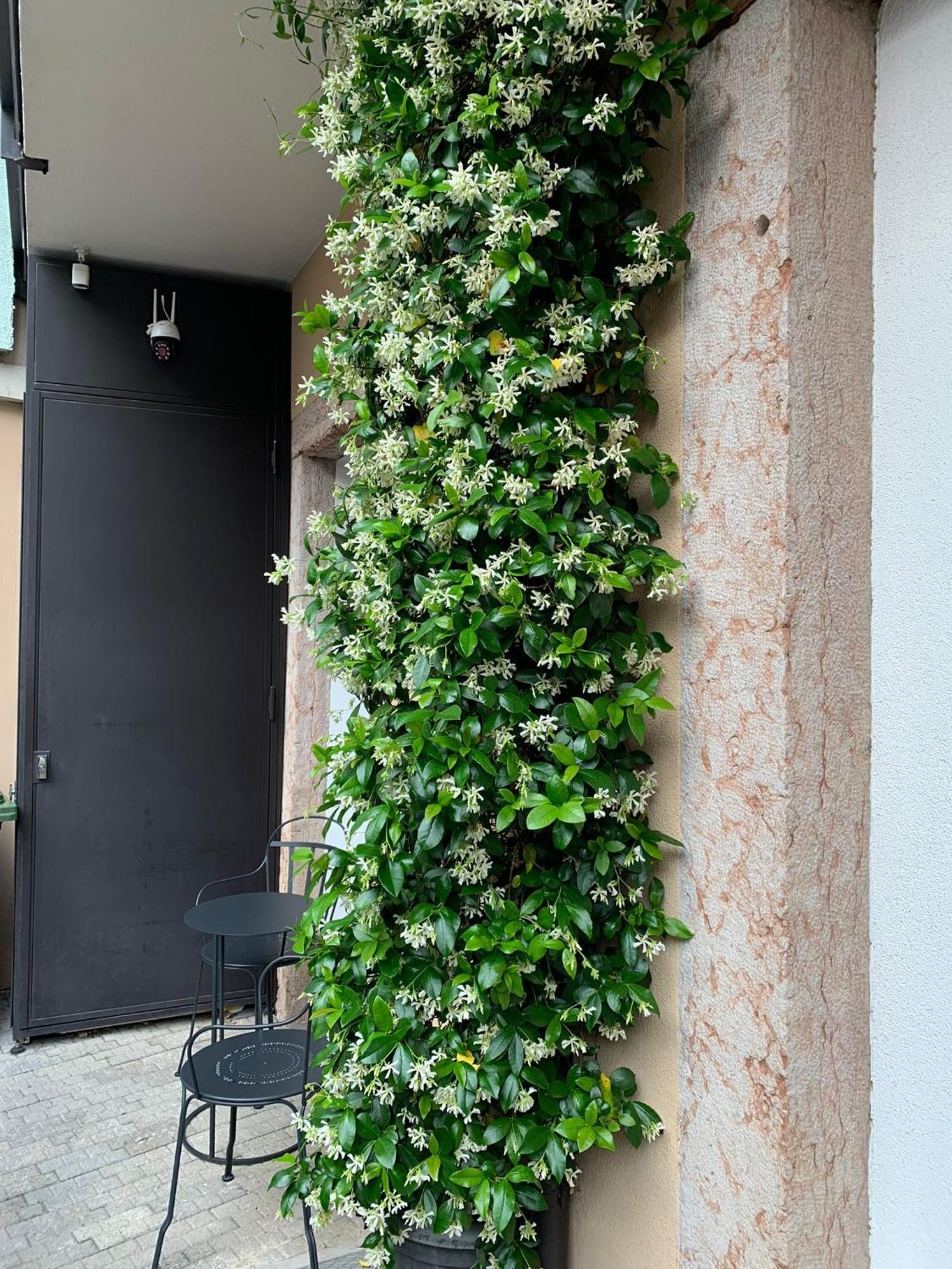 Villa Jasmine Μπολζάνο Εξωτερικό φωτογραφία